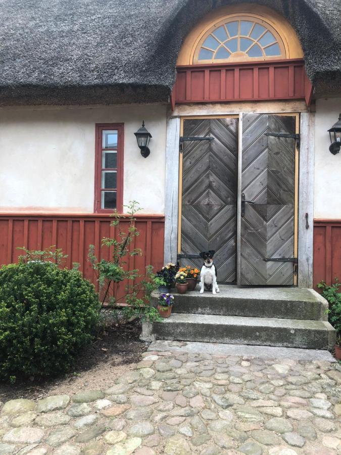 Bed and Breakfast Vasatorps Matologi Helsingborg Exterior foto